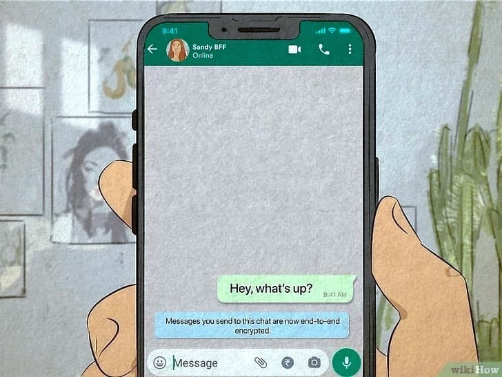 Cómo organizar chats en WhatsApp Web 一