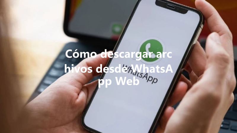 Cómo descargar archivos desde WhatsApp Web 三